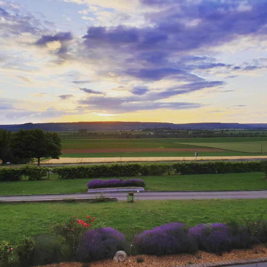 Logis Hotel- Restaurant La Haie Des Vignes Seminaires Et Evenementiel ألا المظهر الخارجي الصورة